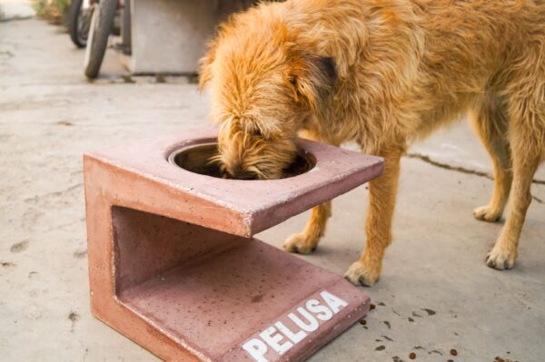 Comedero De Concreto "Pelusa"